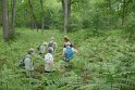 2018-05-24 15-15-05  Rando Fontainebleau DLe